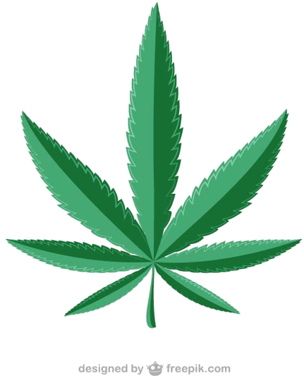Royalty Free Marijuana Clipart Free - Png Download (626x626), Png Download