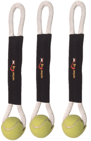 Soft Tennis Clipart (600x540), Png Download