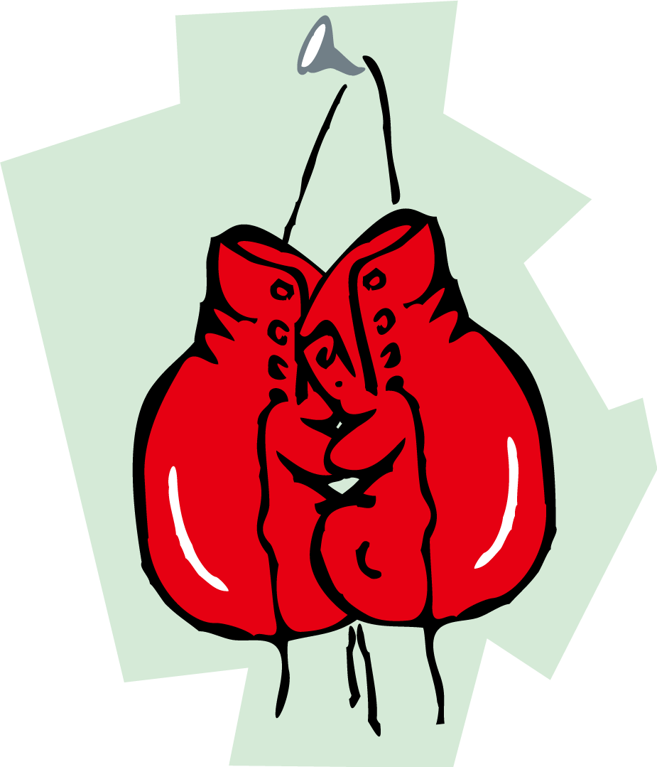 Boxing Glove Clip Art Cartoon Red Boxing Gloves Vector - Guantes De Box Png Dibujo Transparent Png (925x1079), Png Download
