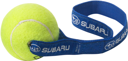 Paddle Tennis Clipart (600x600), Png Download