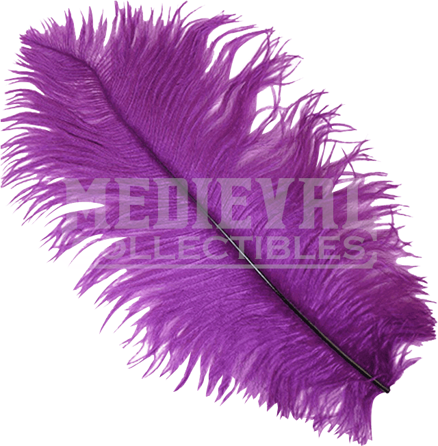 Purple Ostrich Feather Plume - Feathers Purple Transparent Clipart (640x651), Png Download