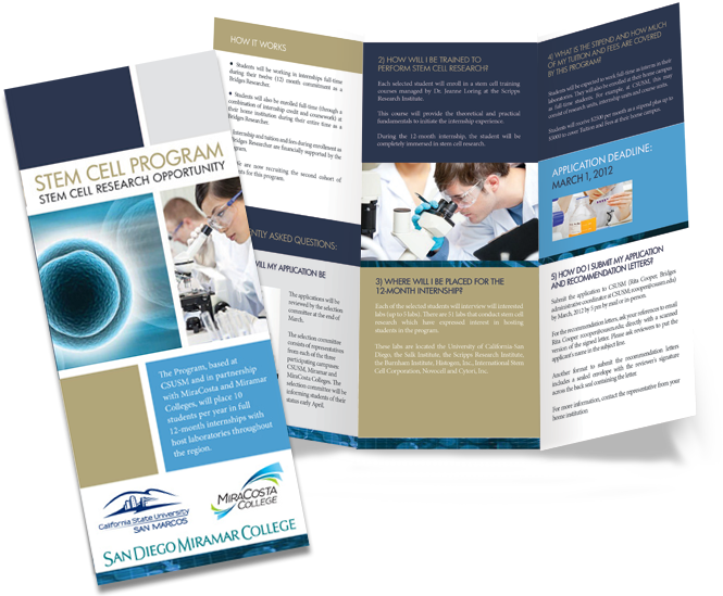 Book Cover / Brochure - Stem Cell Research Pamphlet Clipart (700x556), Png Download
