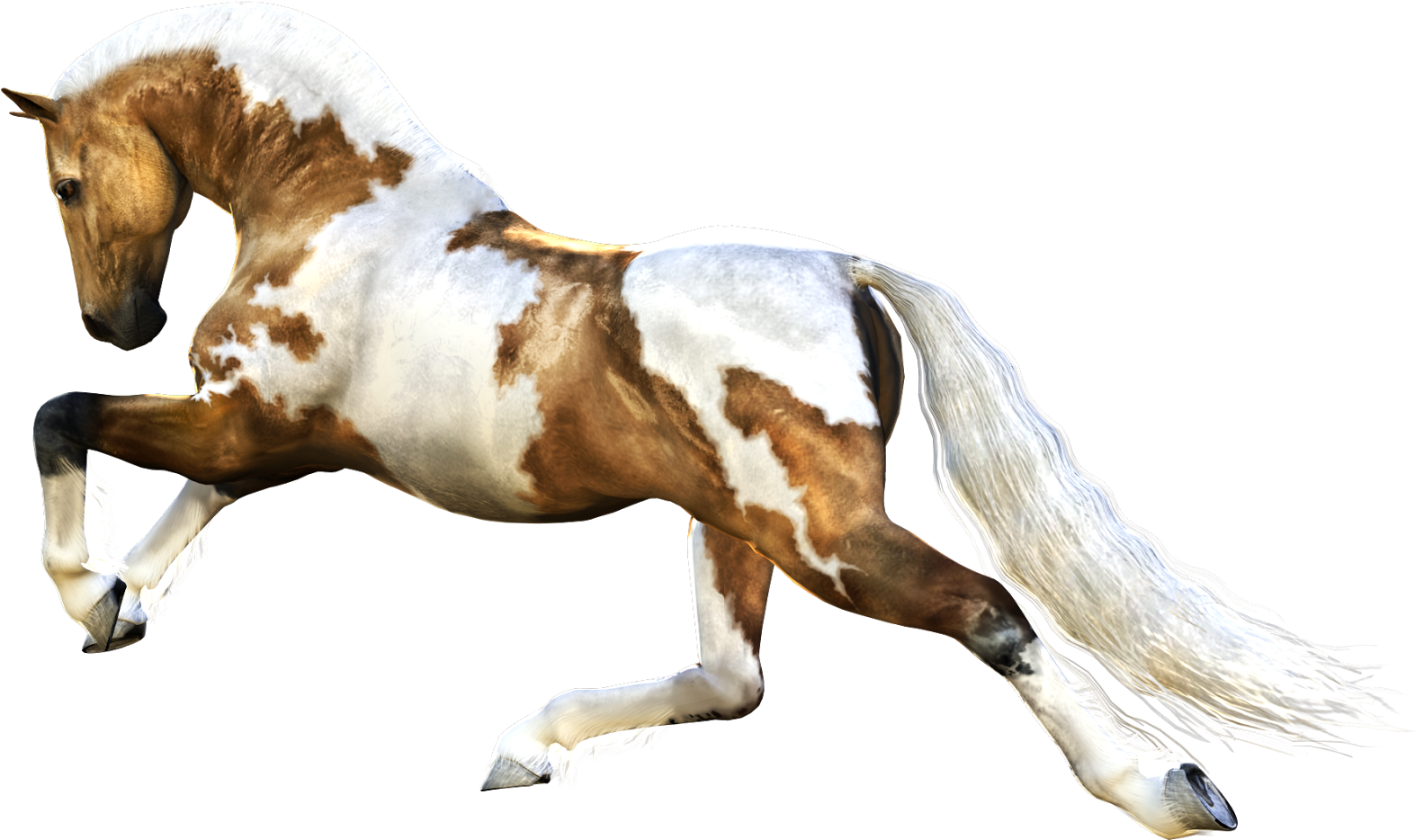 Horse Running - Png Image Horses Clipart (900x655), Png Download