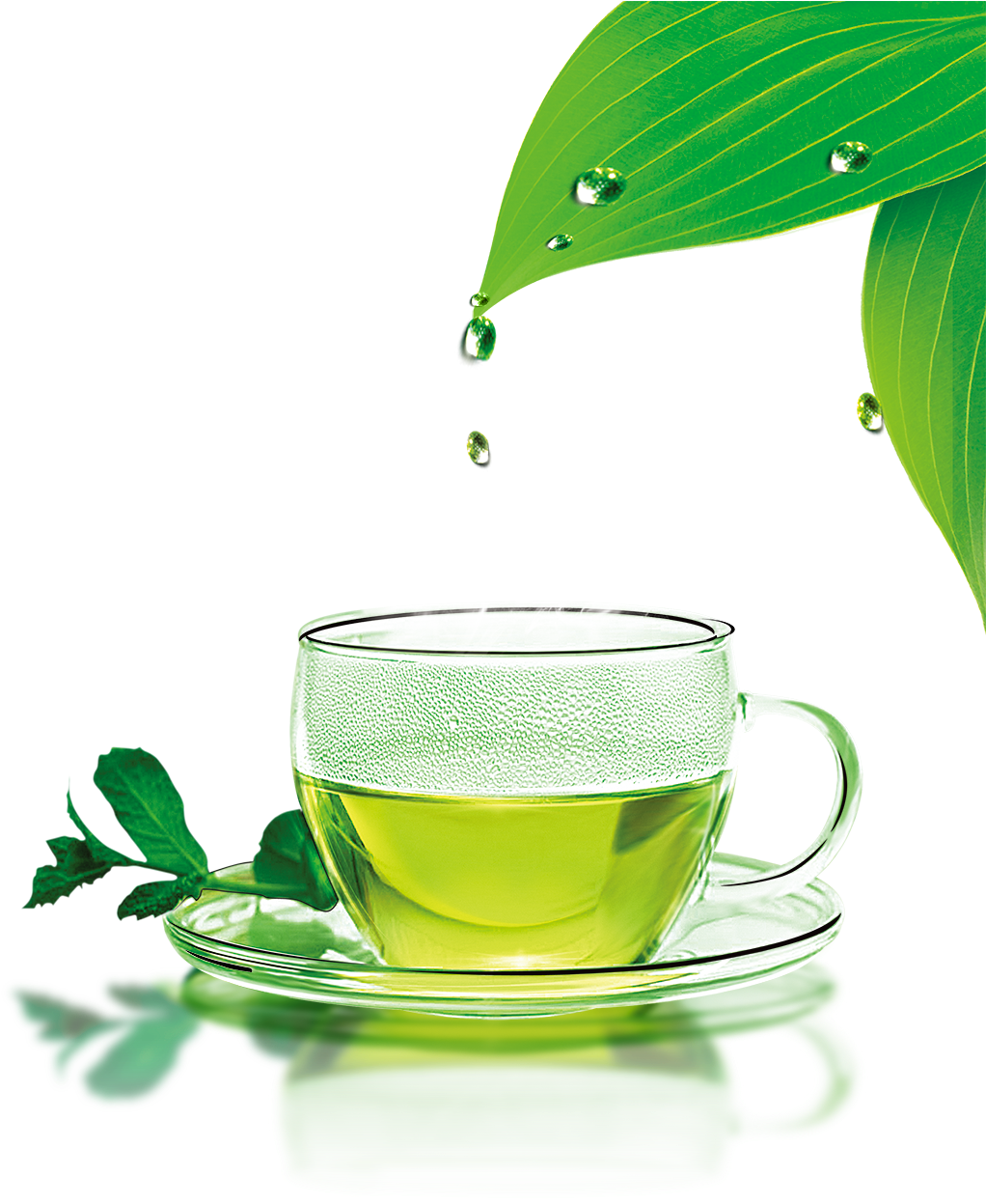Green Tea Png Download Image - Green Tea Icon Png Clipart (1087x1606), Png Download