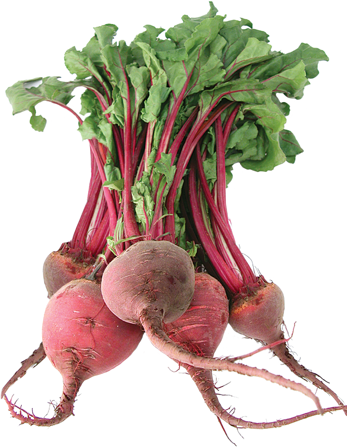Beet - Beets Vegetable Png Clipart (1181x1575), Png Download