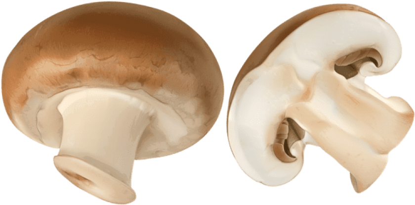Free Png Download Sliced Brown Mushroom Png Images - Champignon Png Clipart (850x423), Png Download