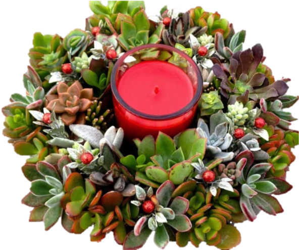 Succulent Centerpiece - Centrepiece Clipart (600x674), Png Download