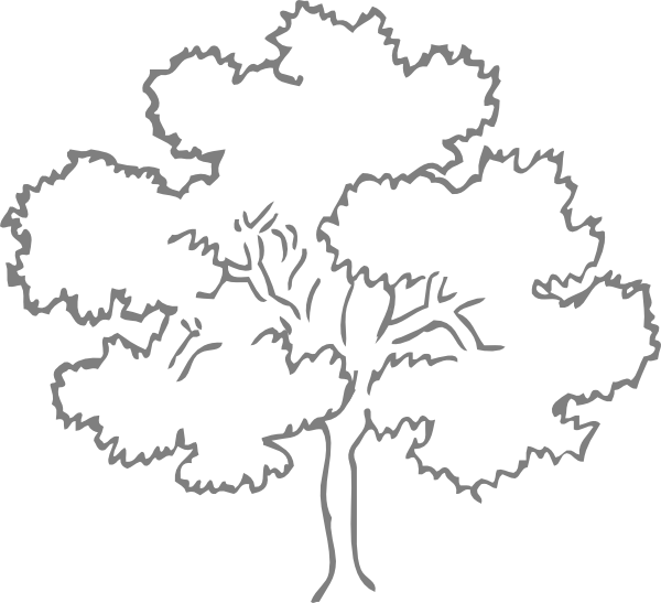 Oaktree Png Clipart (600x547), Png Download