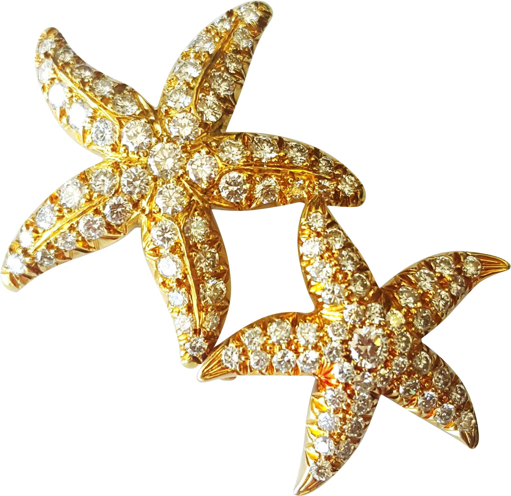 Clip Art Free Beautiful Set Of Two Karat Brooches Krikorian - Star Fish No Background Png Transparent Png (1773x1773), Png Download