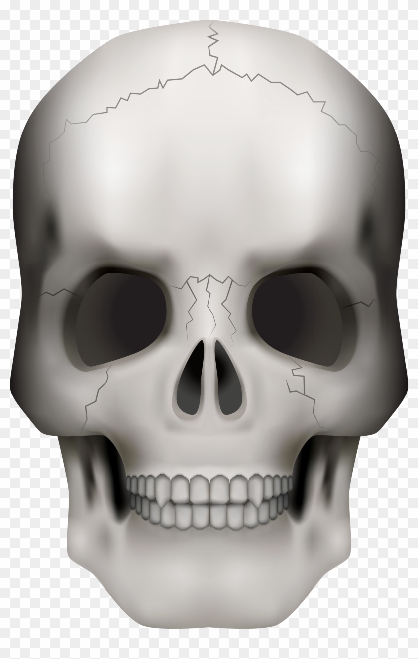 Transparent Transparent Background Skull Png Clipart #100