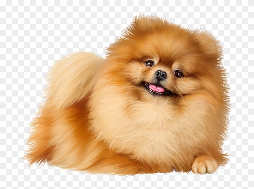 81251462cpxmdst - Dog Clipart