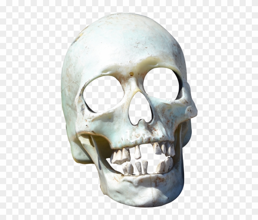 Skull Png Clipart #126