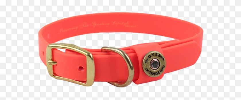 Dog Collar Png - Buckle Clipart #1598