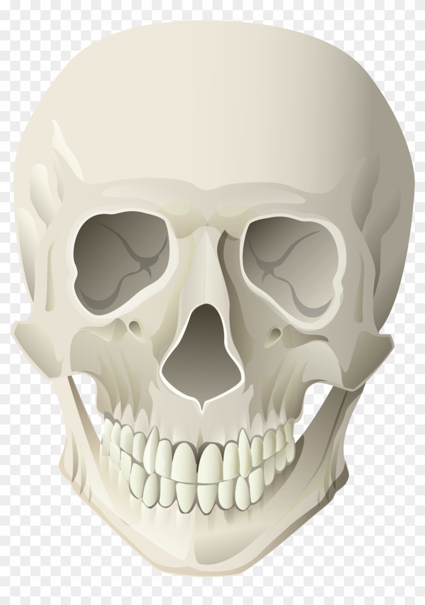 Skull Clipart #1747