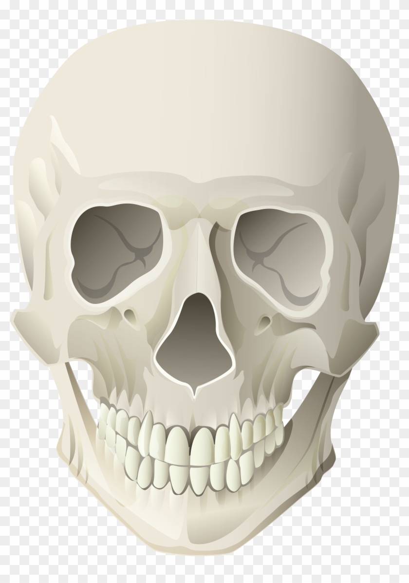 Skull Clipart