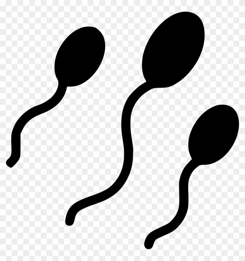 Png File Clipart #2275