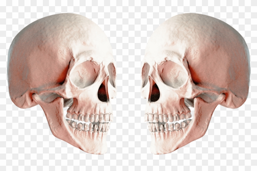 Free Png Download Skull Png Images Background Png Images - 2 Skulls Png Clipart #2625