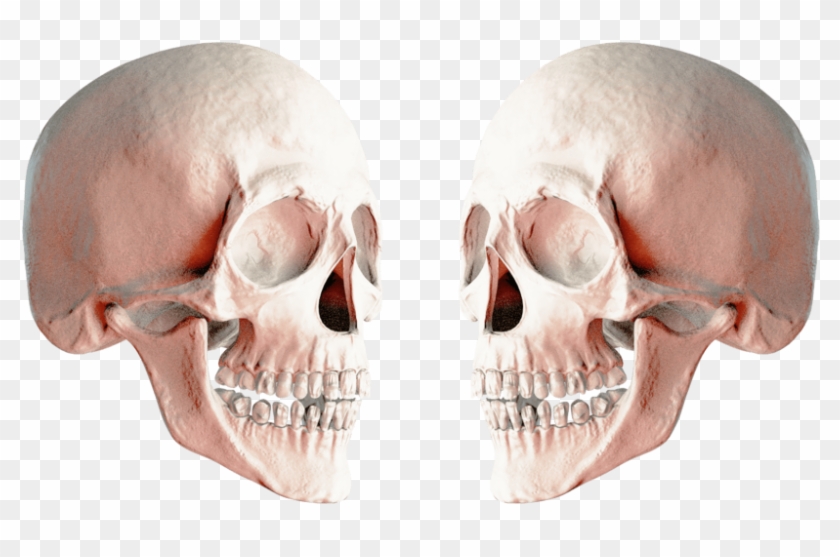 Free Png Download Skull Png Images Background Png Images - 2 Skulls Png Clipart