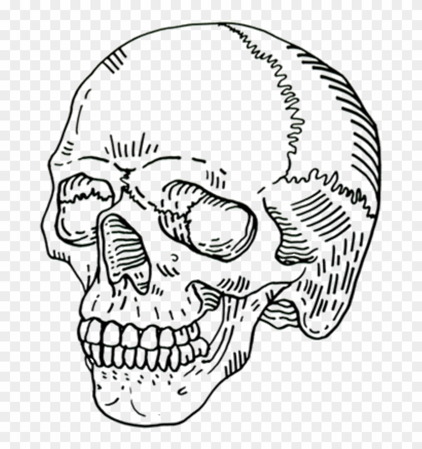 Skull Png Tumblr Cool Blackandwhite Black Whitefreetoed - Aesthetic Skulls Clipart #2742