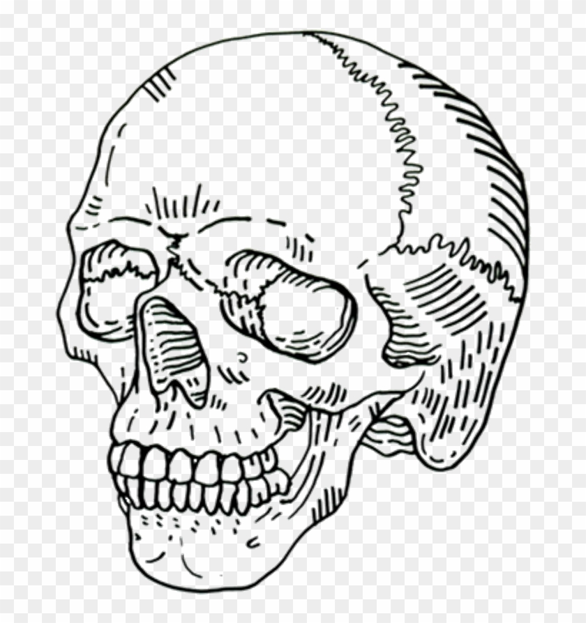 Skull Png Tumblr Cool Blackandwhite Black Whitefreetoed - Aesthetic Skulls Clipart