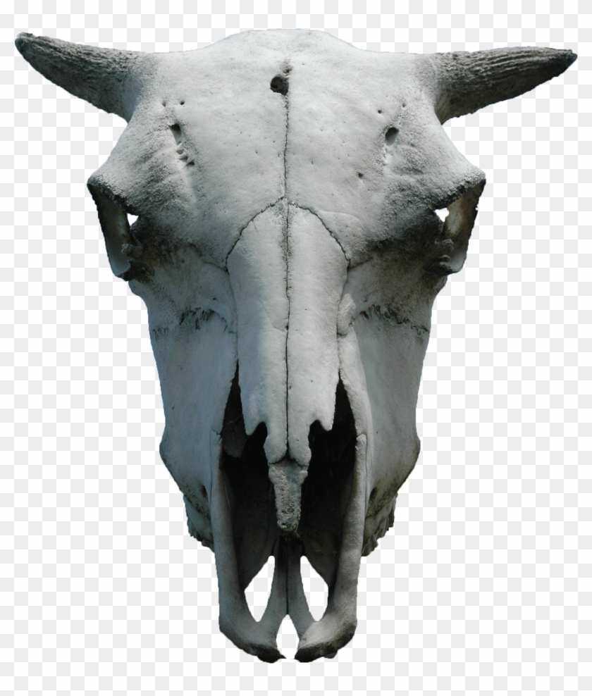 3d Skull Png Clipart