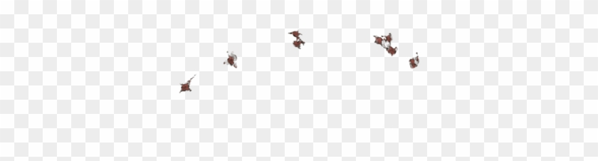 Lioden Scar Png Clipart