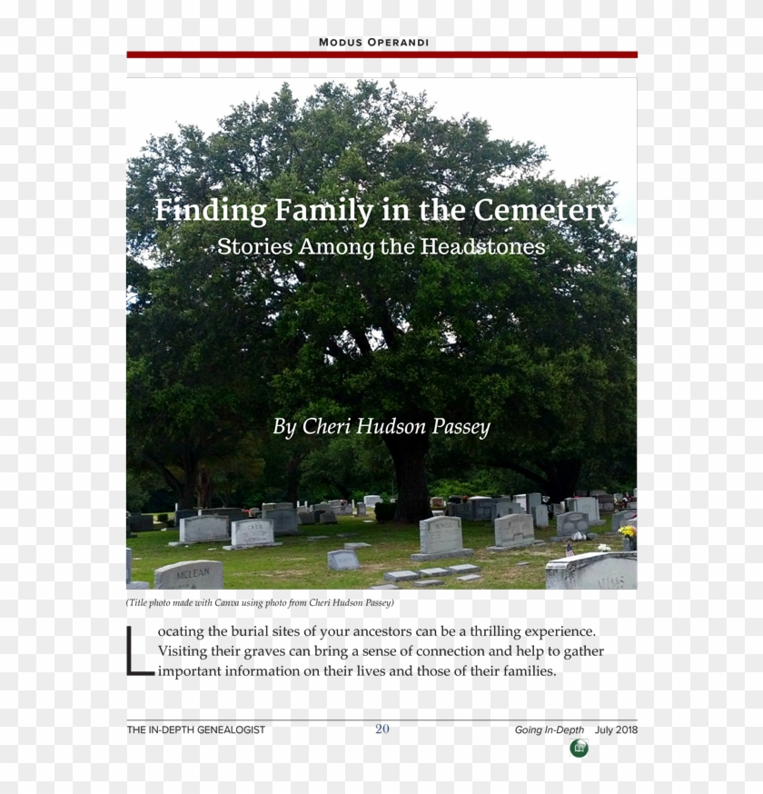 Pin By The In-depth Genealogist On Genealogy Tip Jar - Tree Clipart