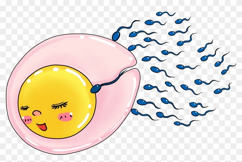 Ivf With Sperm Donation - Circle Clipart