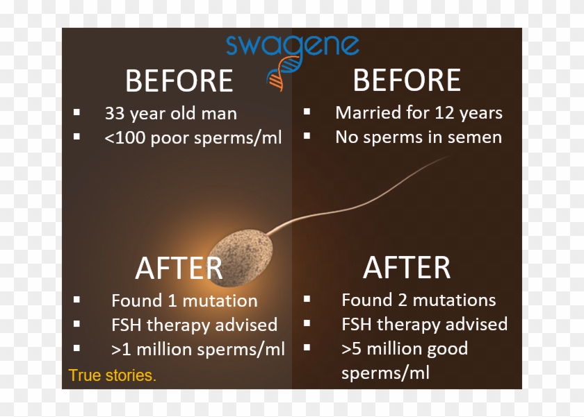 From 0 To Millions Of Sperms Male Fertility Miracles - Endorfina Events Clipart