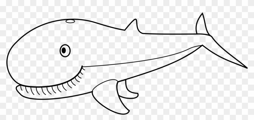 Cetacea Humpback Whale Beluga Whale Killer Whale Sperm - Big Whale Clipart Black And White - Png Download