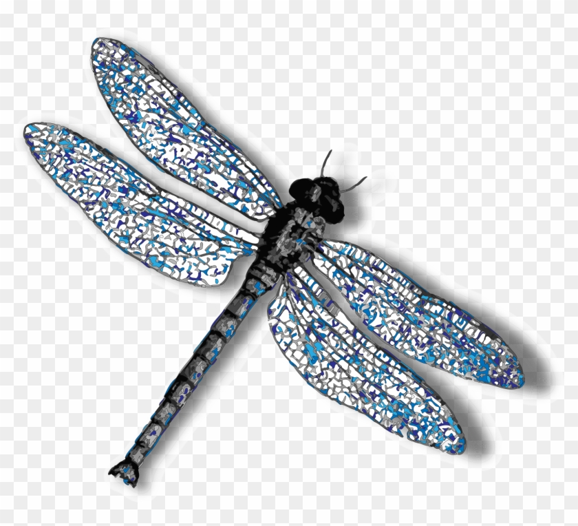 Dragonfly Png Background Image - Dragonfly With No Background Clipart #3500