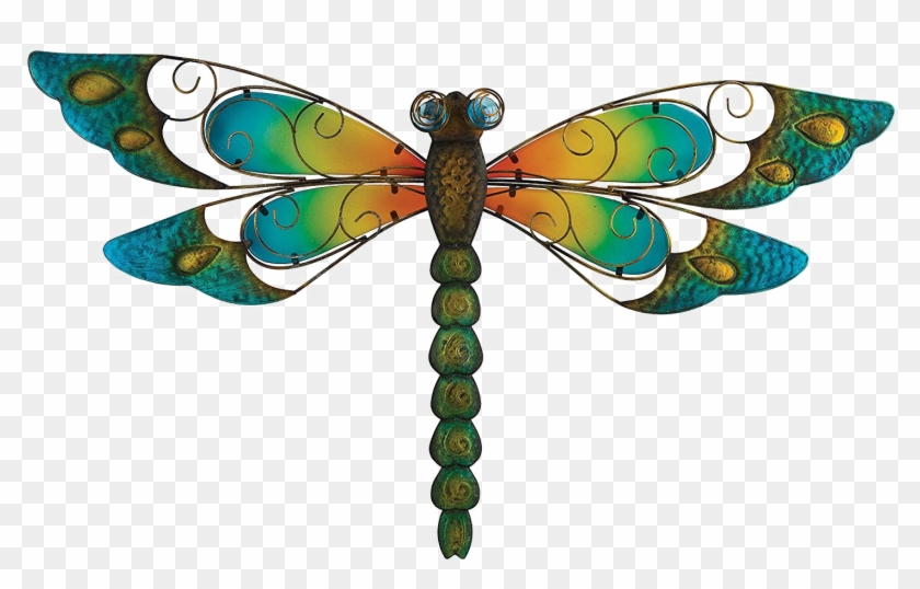 Dragonfly Png Image Clipart #3584