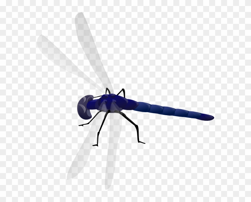 Small - Dragonfly Clipart Gif - Png Download