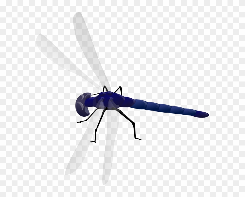 Small - Dragonfly Clipart Gif - Png Download #3607