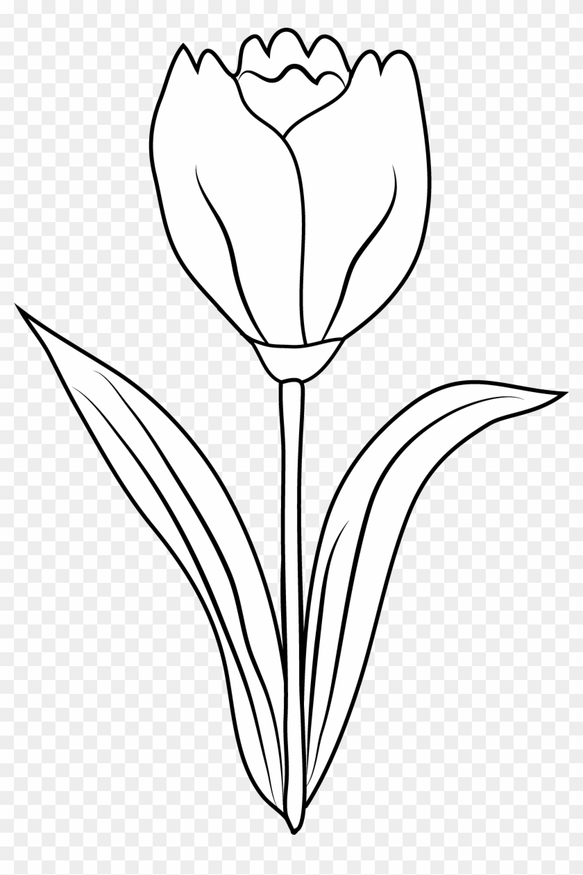 Happy Thanksgiving Turkey Clipart Black And White - Clipart Tulip Flower Black And White - Png Download