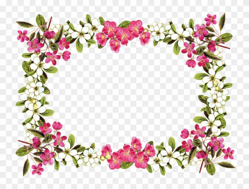Free Flower Frame Png &amp - Flower Border Clipart Transparent Png