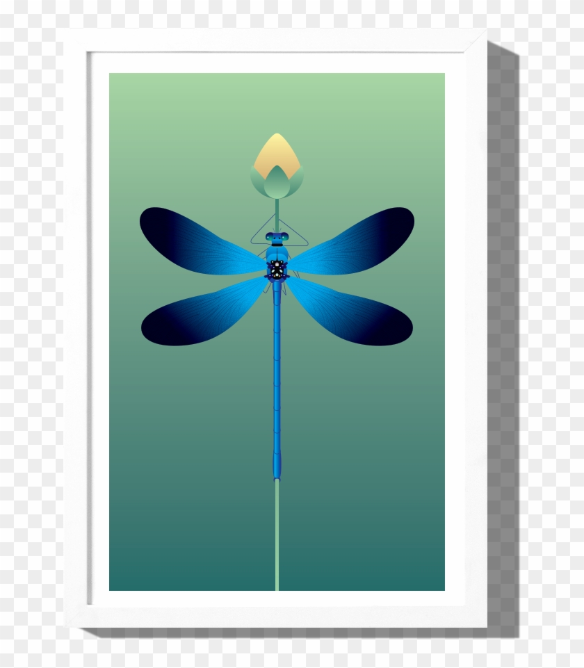 Damselfly Clipart #4291