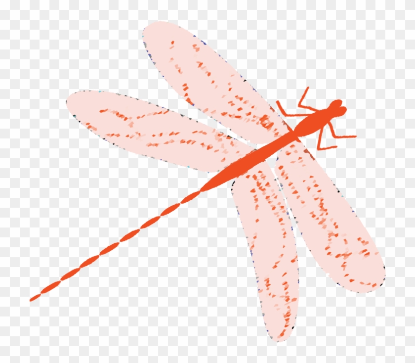 Dragonfly Clipart #4375