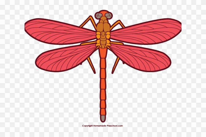 Dragonfly Clipart Hope - Clipart Picture Of Dragonfly - Png Download #4436