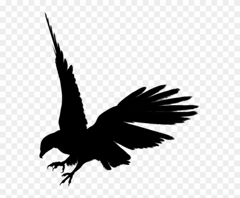 Flying Dragon Silhouette - Black Eagle Png Clipart #443