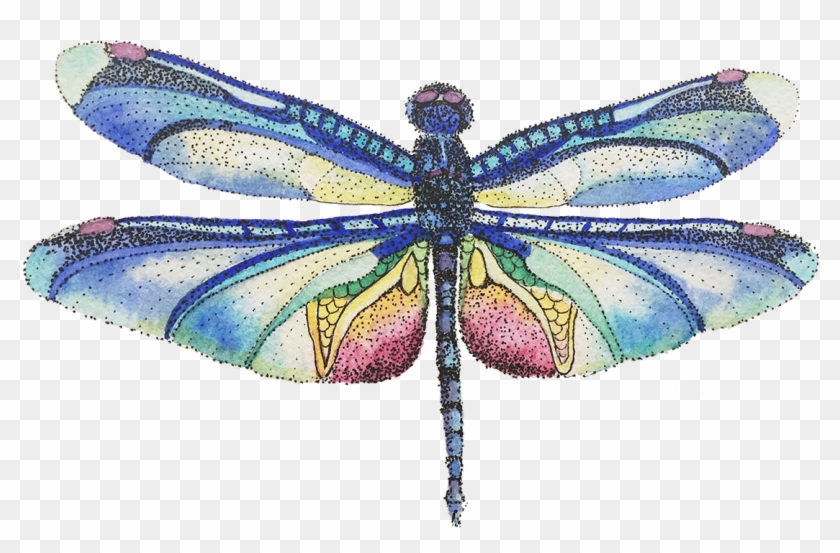 Butterfly Insect Dog - Damselfly Clipart #4625