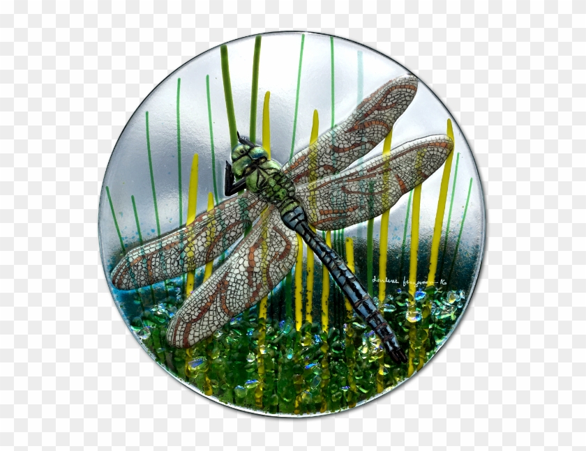 Hand Painted Fused Glass Dragonfly - Fused Glass Dragonfly Clipart