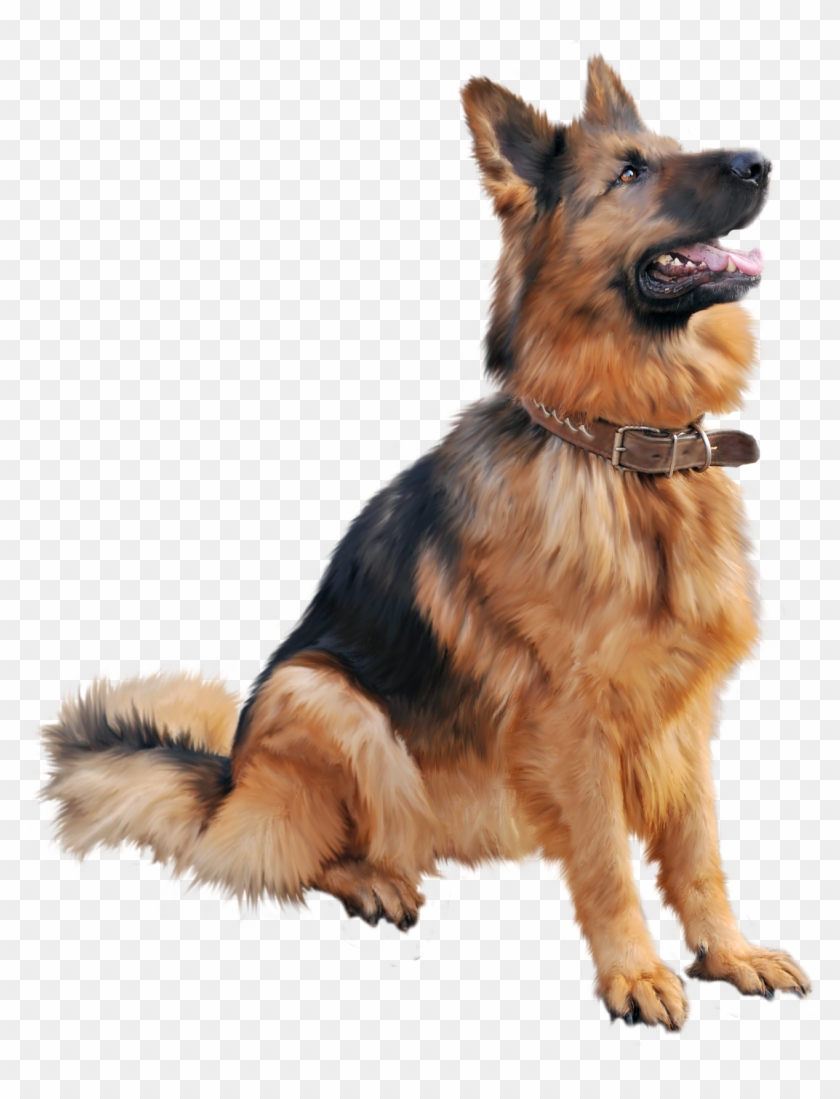 Dog Png Image, Dogs, Puppy Pictures Free Download Clipart #504