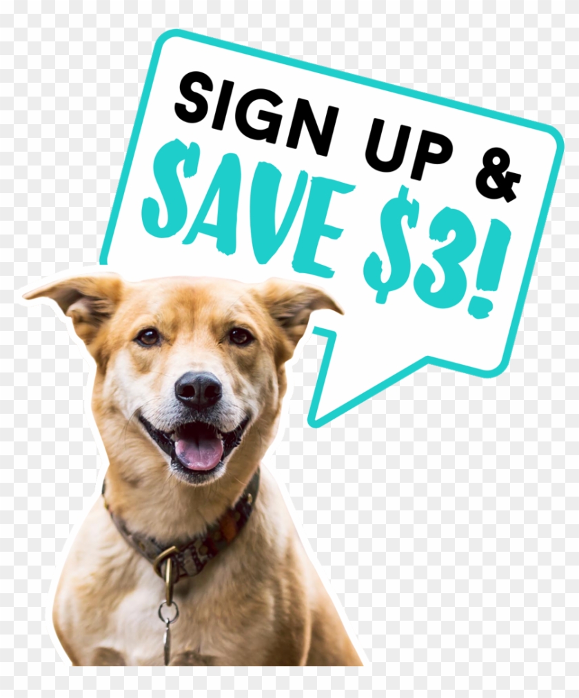 Signupandsave Cutout - Dog Yawns Clipart #5307