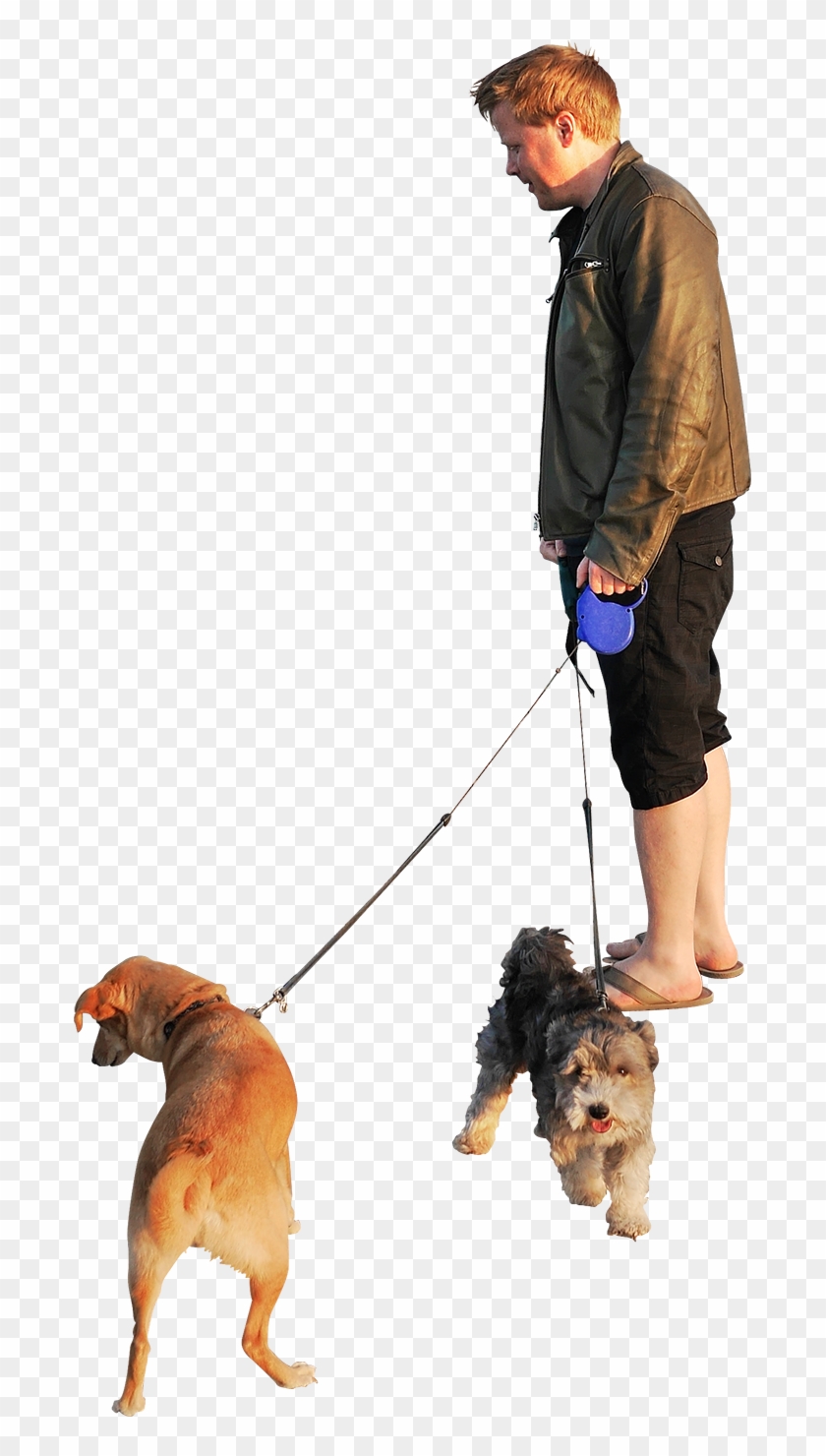 Free Png Download Dogs Beach Sunset Png Images Background - Dog Walking Png Clipart #5636