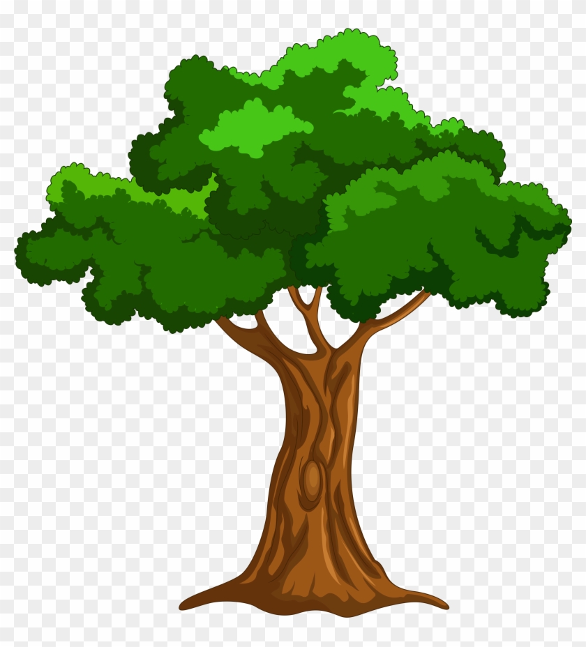 Cartoon Tree Png Clip Art - Tree Cartoon Transparent Png #5679
