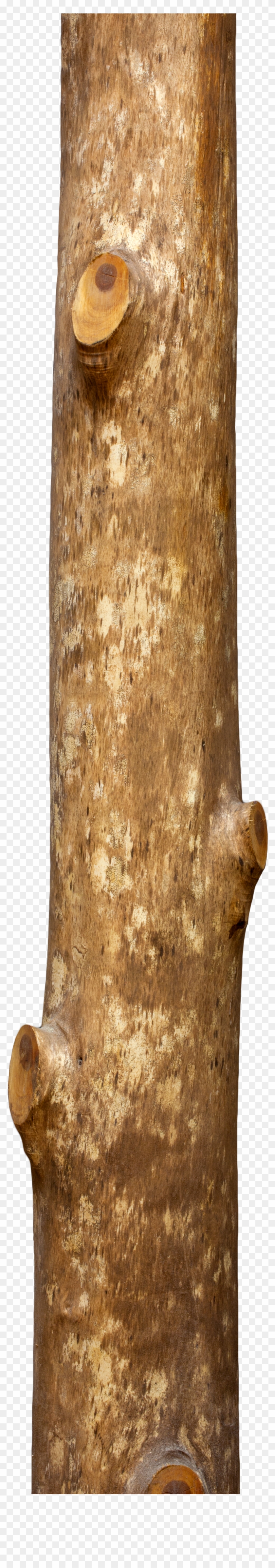 Honate Sabi Maruta - Tree Wood Png Hd Clipart