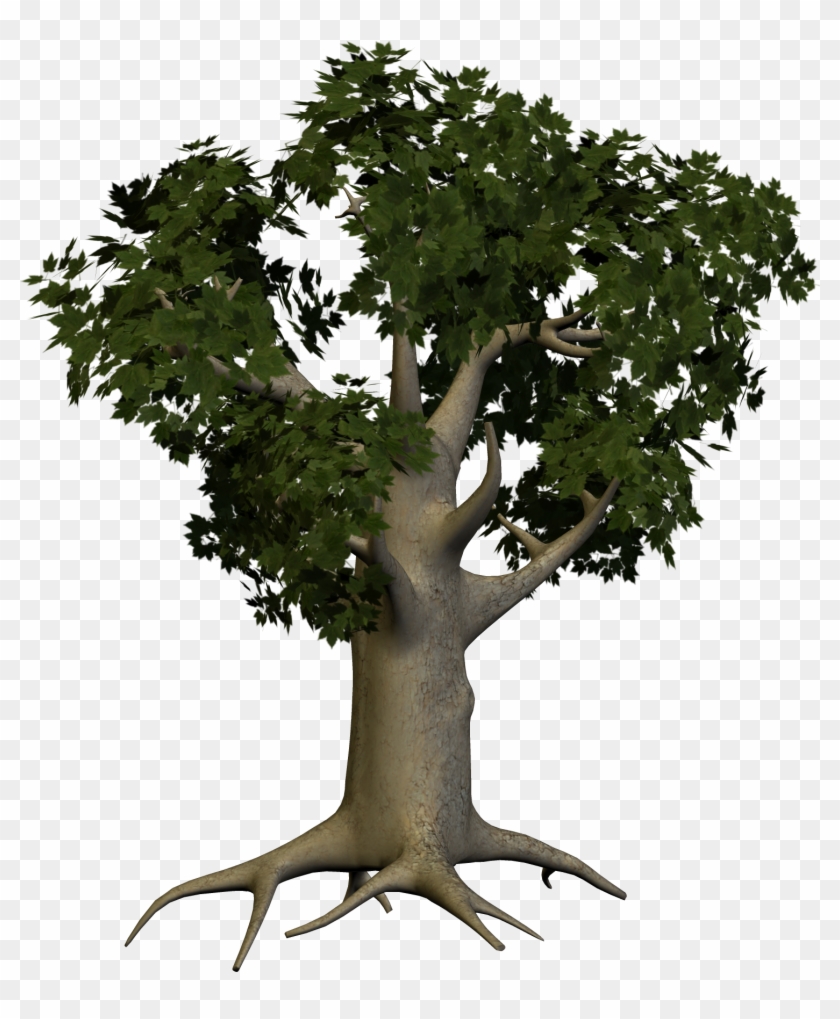 Transparent Background Png Tree Clipart #5987