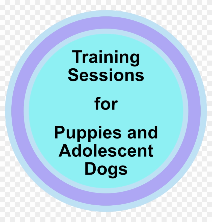 Training For Puppies And Adolescent Dogs - Lico Leasing Clipart #5991