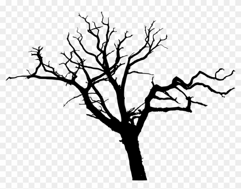 Tree Trunk Silhouette - Tree Silhouette Transparent Background Clipart #6469